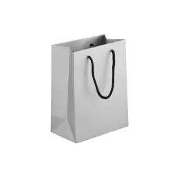 230gsm Matte Gift Bag - 23cm Silver Side